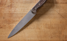 The Unique Features of the Japanese Usuba Knife